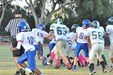 Enlarge photo 235