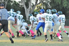 Enlarge photo 237