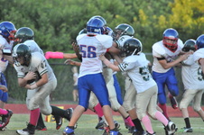 Enlarge photo 243
