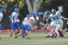 Enlarge photo 252