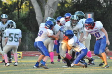 Enlarge photo 255