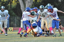 Enlarge photo 256