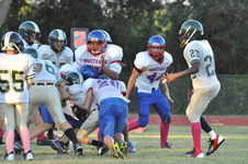 Enlarge photo 261