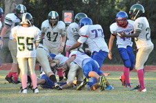 Enlarge photo 262