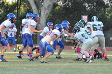 Enlarge photo 264