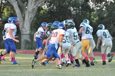 Enlarge photo 265