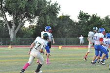 Enlarge photo 272