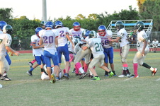 Enlarge photo 273