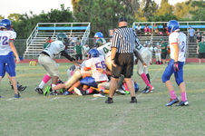 Enlarge photo 274