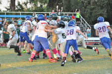 Enlarge photo 280