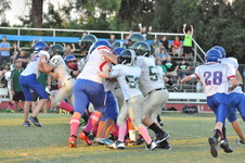 Enlarge photo 281