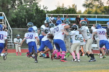 Enlarge photo 284