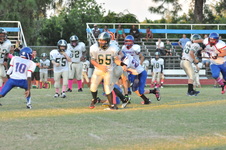 Enlarge photo 289