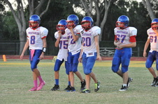 Enlarge photo 291