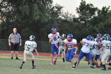 Enlarge photo 294