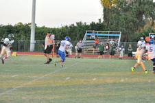 Enlarge photo 297
