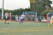 Enlarge photo 298