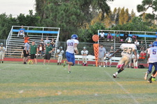 Enlarge photo 299