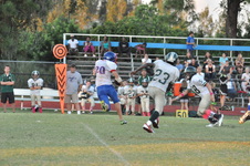 Enlarge photo 301