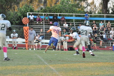 Enlarge photo 302