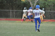 Enlarge photo 310
