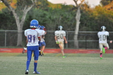 Enlarge photo 309