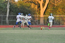 Enlarge photo 311