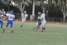 Enlarge photo 326