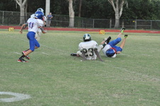 Enlarge photo 329