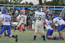 Enlarge photo 330