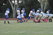 Enlarge photo 343