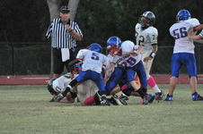 Enlarge photo 345