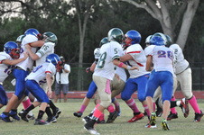 Enlarge photo 352