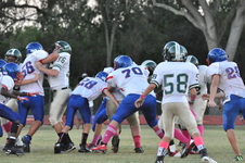 Enlarge photo 354