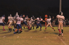 Enlarge photo 433