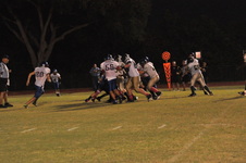 Enlarge photo 438