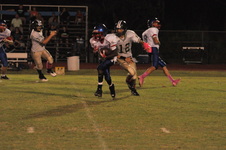 Enlarge photo 457