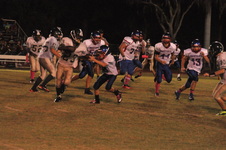 Enlarge photo 481
