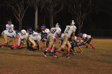 Enlarge photo 495