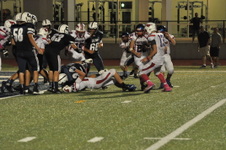 Enlarge photo 51