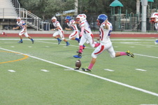 Enlarge photo 52