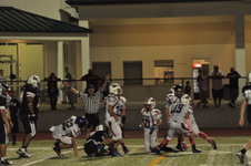 Enlarge photo 97