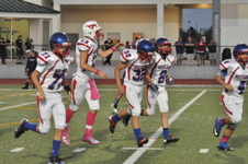 Enlarge photo 353