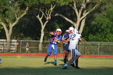 Enlarge photo 50