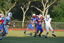 Enlarge photo 51