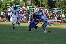 Enlarge photo 53