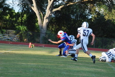 Enlarge photo 54