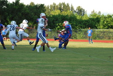 Enlarge photo 61