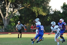 Enlarge photo 63
