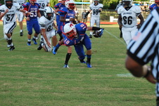 Enlarge photo 73